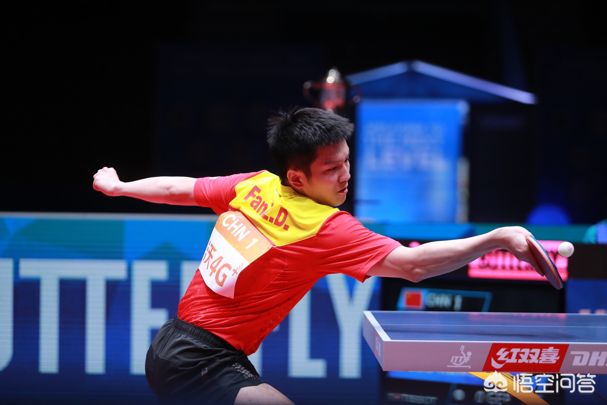 受瞩目的全 受瞩目的全